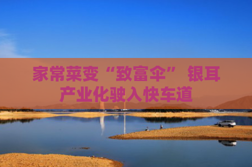 家常菜变“致富伞” 银耳产业化驶入快车道
