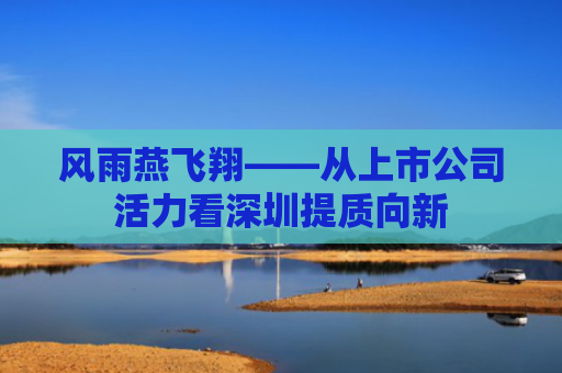 风雨燕飞翔——从上市公司活力看深圳提质向新