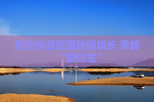 险资权益配置稳健增长 青睐“绩优生”