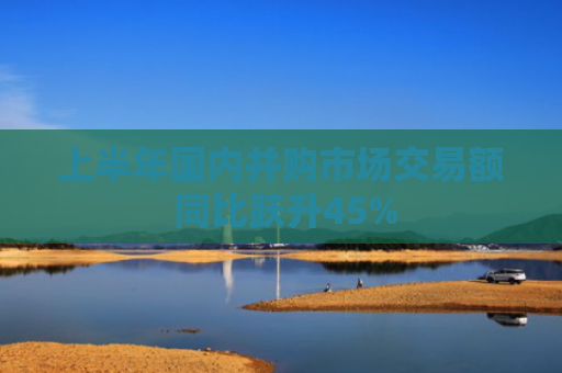 上半年国内并购市场交易额 同比跃升45%