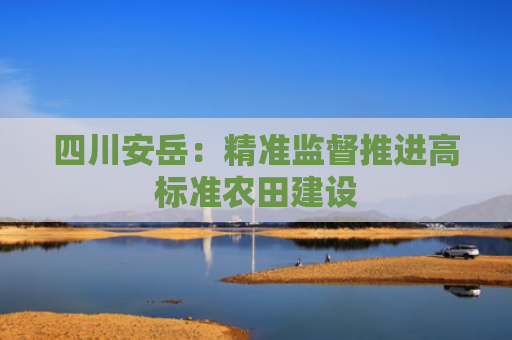 四川安岳：精准监督推进高标准农田建设