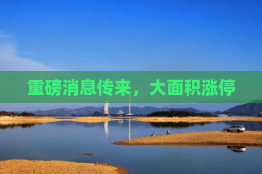 重磅消息传来，大面积涨停
