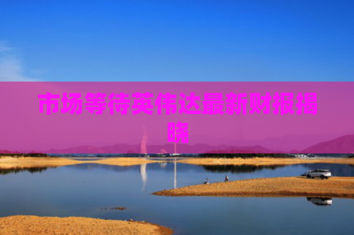 市场等待英伟达最新财报揭晓