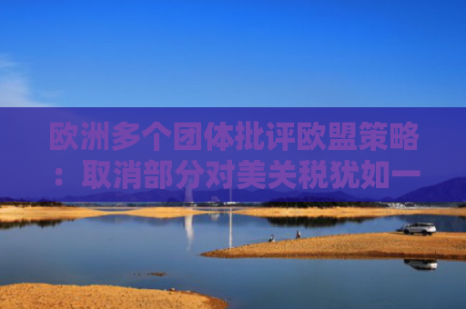 欧洲多个团体批评欧盟策略：取消部分对美关税犹如一记重击