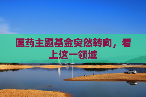 医药主题基金突然转向，看上这一领域