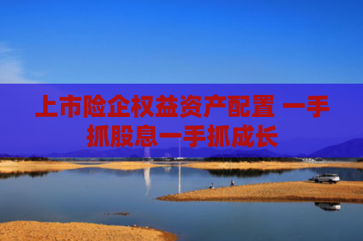 上市险企权益资产配置 一手抓股息一手抓成长