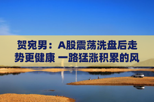 贺宛男：A股震荡洗盘后走势更健康 一路猛涨积累的风险反而更大