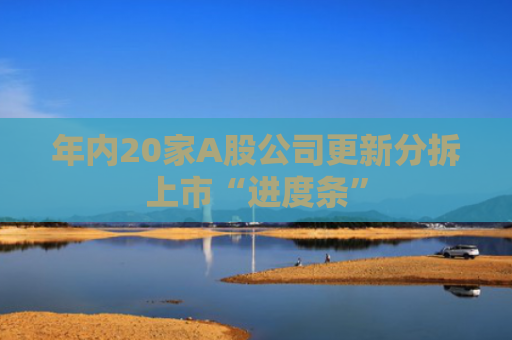 年内20家A股公司更新分拆上市“进度条”