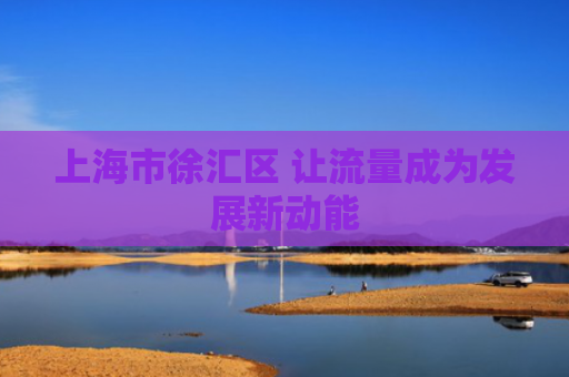 上海市徐汇区 让流量成为发展新动能