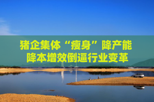 猪企集体“瘦身”降产能 降本增效倒逼行业变革