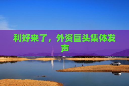 利好来了，外资巨头集体发声