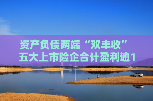 资产负债两端“双丰收” 五大上市险企合计盈利逾1780亿元