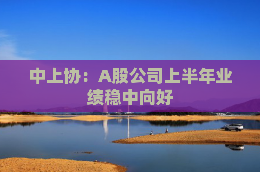 中上协：A股公司上半年业绩稳中向好