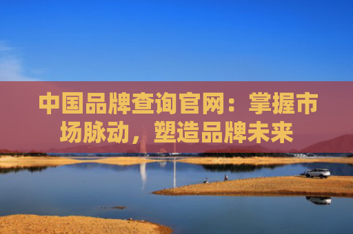 中国品牌查询官网：掌握市场脉动，塑造品牌未来