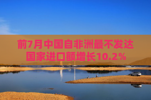 前7月中国自非洲最不发达国家进口额增长10.2%