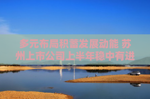 多元布局积蓄发展动能 苏州上市公司上半年稳中有进