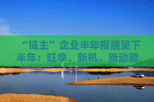 “链主”企业半年报展望下半年：旺季、新机、新动能