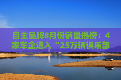 自主品牌8月份销量揭榜：4家车企进入“25万辆俱乐部”