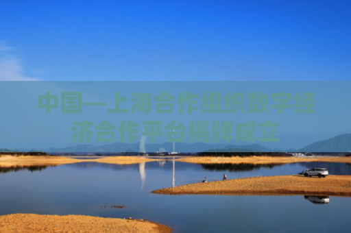 中国—上海合作组织数字经济合作平台揭牌成立