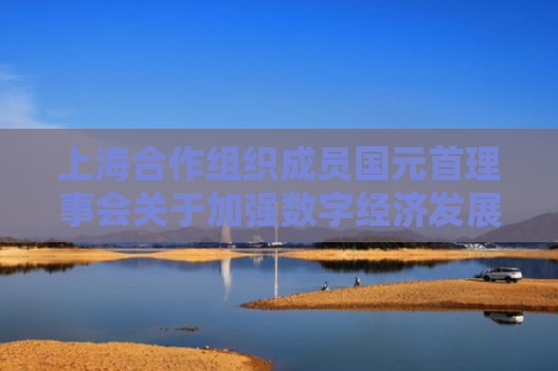 上海合作组织成员国元首理事会关于加强数字经济发展的声明