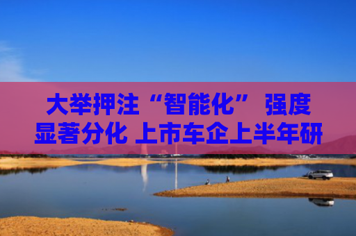 大举押注“智能化” 强度显著分化 上市车企上半年研发投入增长逾30%