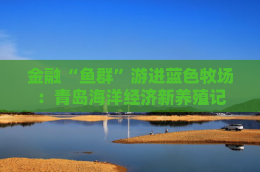 金融“鱼群”游进蓝色牧场：青岛海洋经济新养殖记