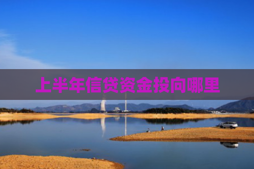 上半年信贷资金投向哪里