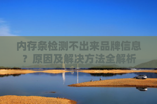 内存条检测不出来品牌信息？原因及解决方法全解析