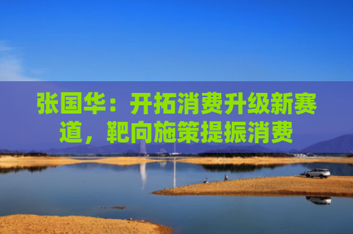 张国华：开拓消费升级新赛道，靶向施策提振消费