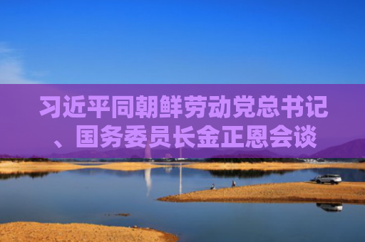 习近平同朝鲜劳动党总书记、国务委员长金正恩会谈