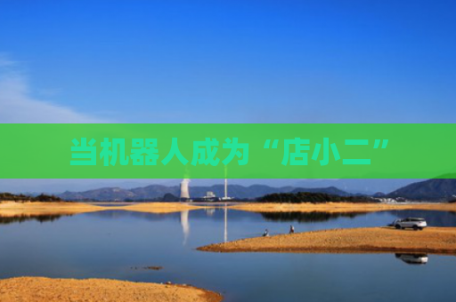 当机器人成为“店小二”