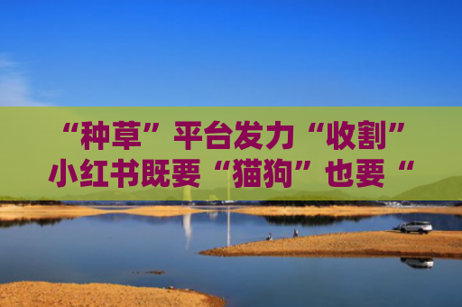 “种草”平台发力“收割” 小红书既要“猫狗”也要“自有”