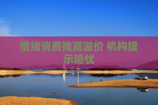 情绪消费推高溢价 机构提示隐忧