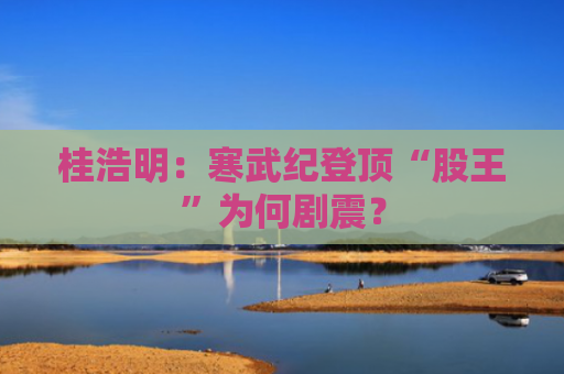 桂浩明：寒武纪登顶“股王”为何剧震？