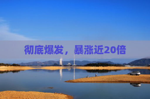 彻底爆发，暴涨近20倍