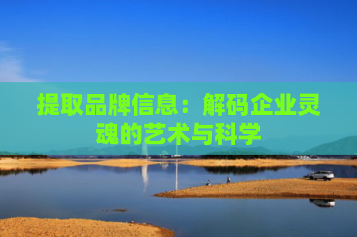 提取品牌信息：解码企业灵魂的艺术与科学