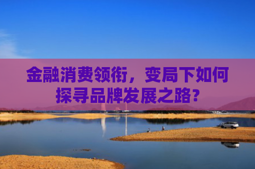 金融消费领衔，变局下如何探寻品牌发展之路？