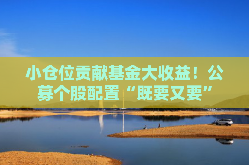 小仓位贡献基金大收益！公募个股配置“既要又要”