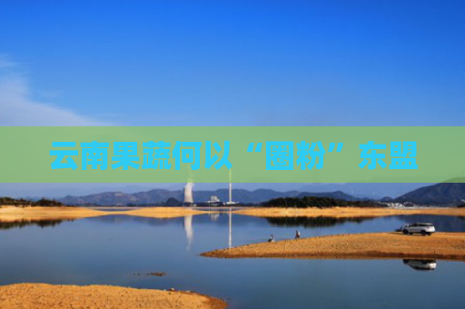云南果蔬何以“圈粉”东盟