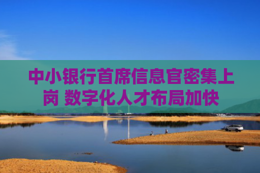 中小银行首席信息官密集上岗 数字化人才布局加快