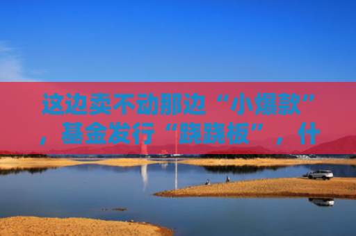 这边卖不动那边“小爆款”，基金发行“跷跷板”，什么信号？