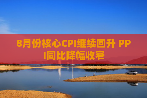8月份核心CPI继续回升 PPI同比降幅收窄