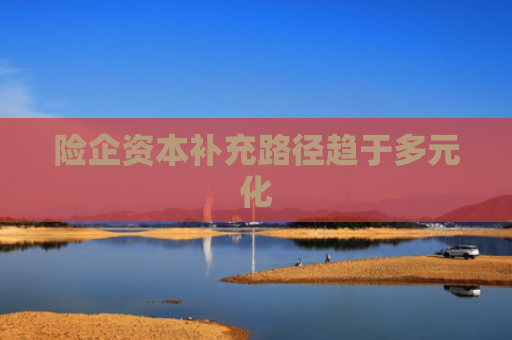 险企资本补充路径趋于多元化