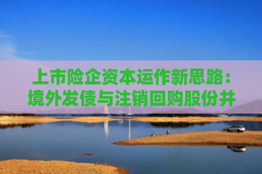 上市险企资本运作新思路：境外发债与注销回购股份并行
