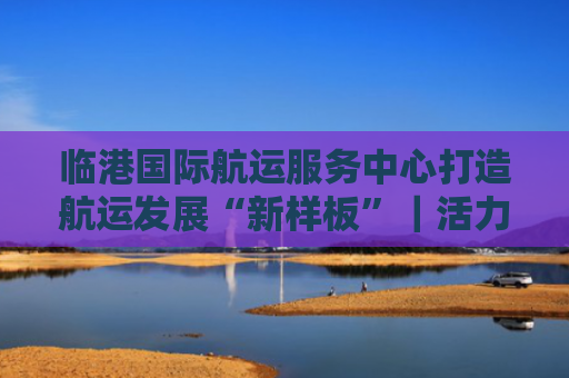临港国际航运服务中心打造航运发展“新样板”｜活力中国调研行