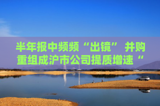 半年报中频频“出镜” 并购重组成沪市公司提质增速“关键引擎”