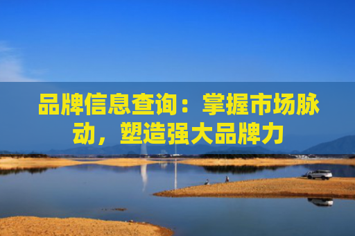品牌信息查询：掌握市场脉动，塑造强大品牌力