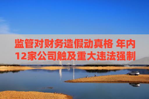 监管对财务造假动真格 年内12家公司触及重大违法强制退市