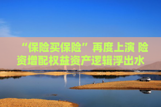 “保险买保险”再度上演 险资增配权益资产逻辑浮出水面