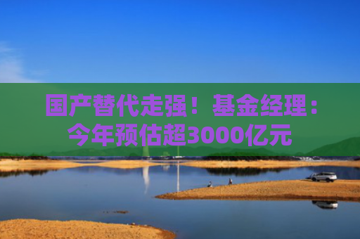国产替代走强！基金经理：今年预估超3000亿元